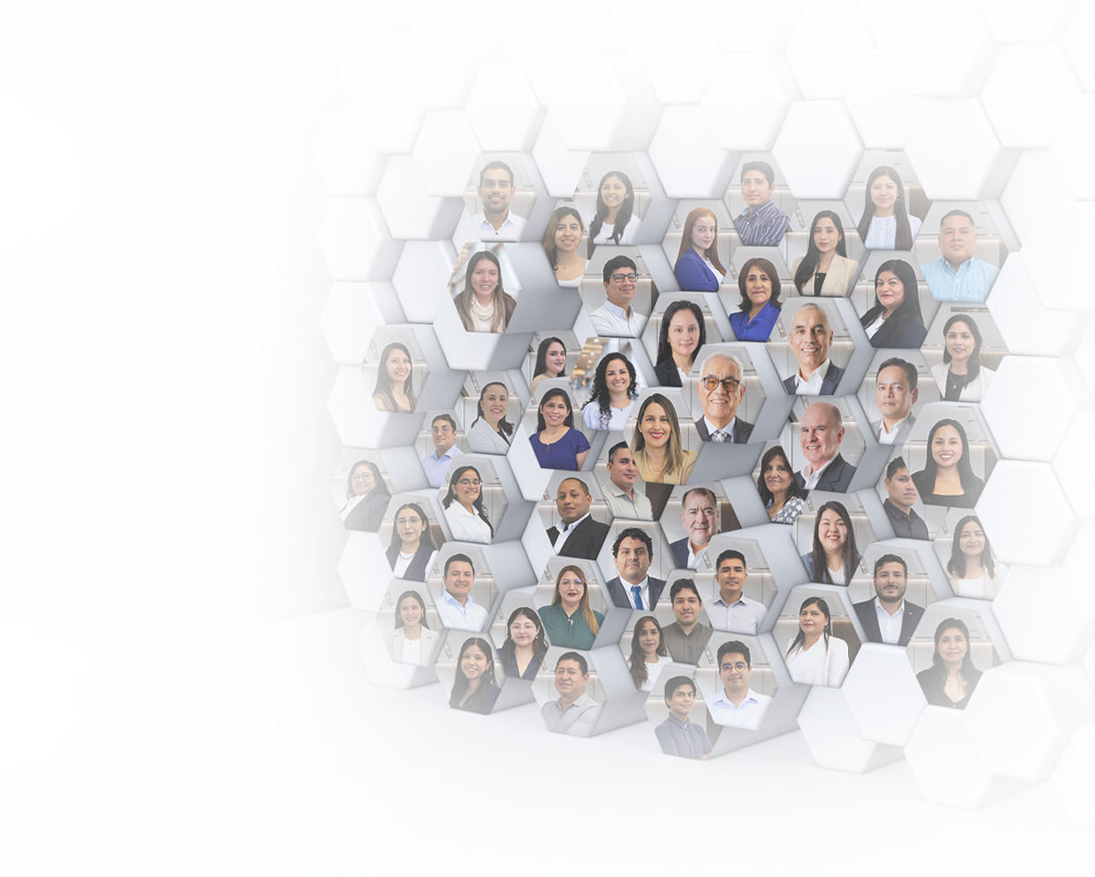 Nuestro equipo